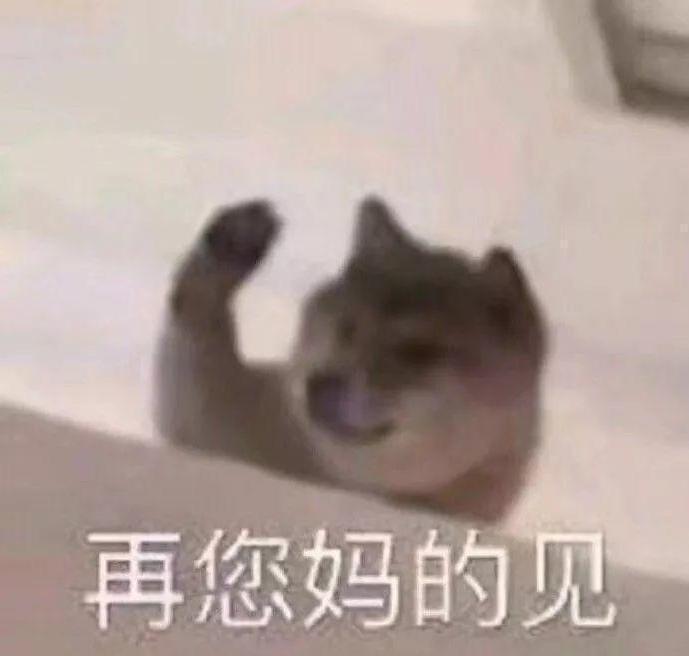 萌宠表情包:你走了就不要再回来了!
