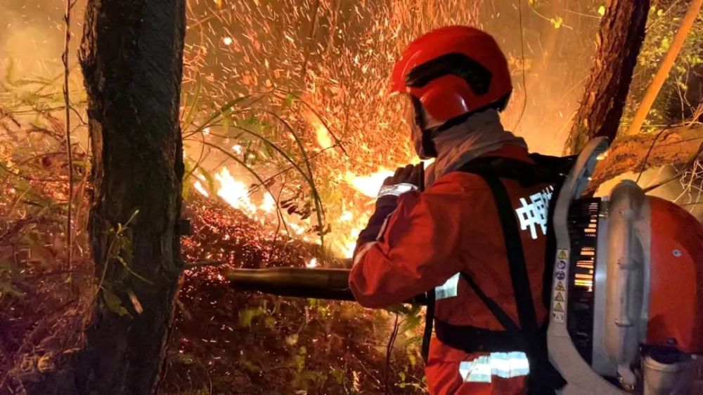 跨省驻防|缅怀四川木里"3.30"森林火灾中牺牲的勇士