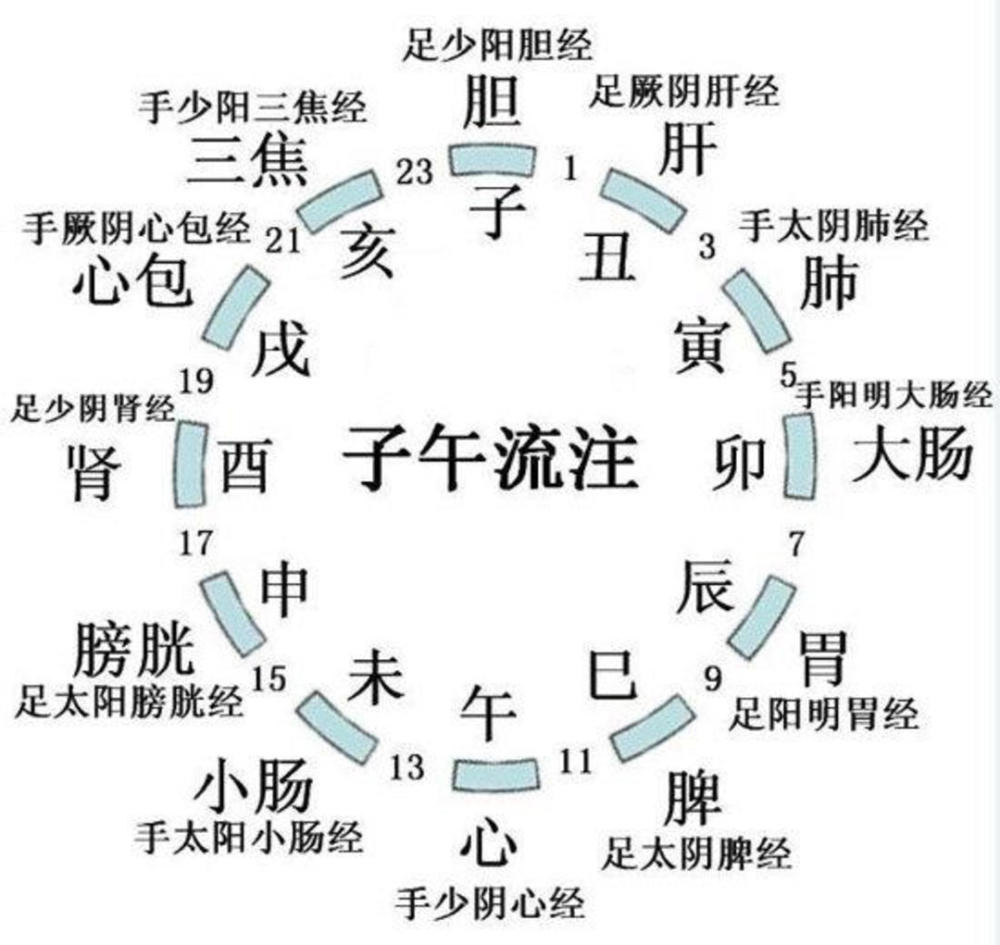 现代养生"十二时辰"|封面天天见 健康正前方