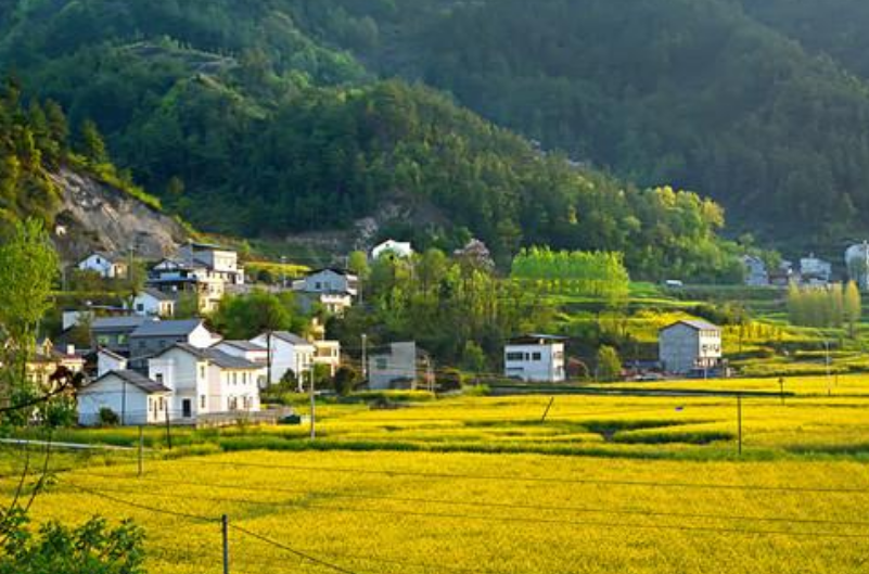 宅基地按人口赔偿还是面积_宅基地斜面积图