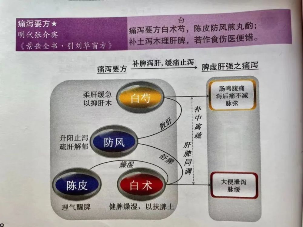 七,痛泻要方《景岳全书·引刘草窗方》