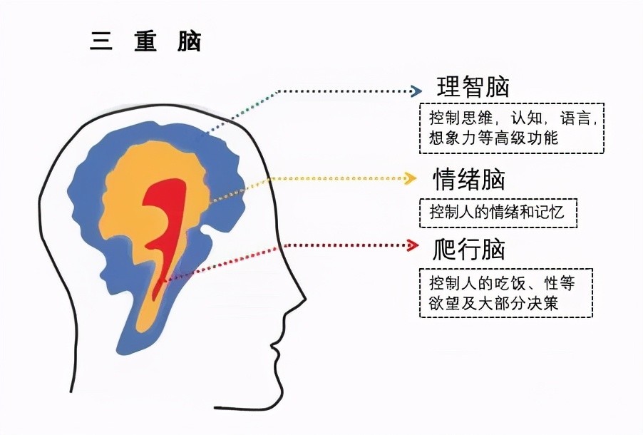 如何做才能打开孩子心门,让娃100%信任你?