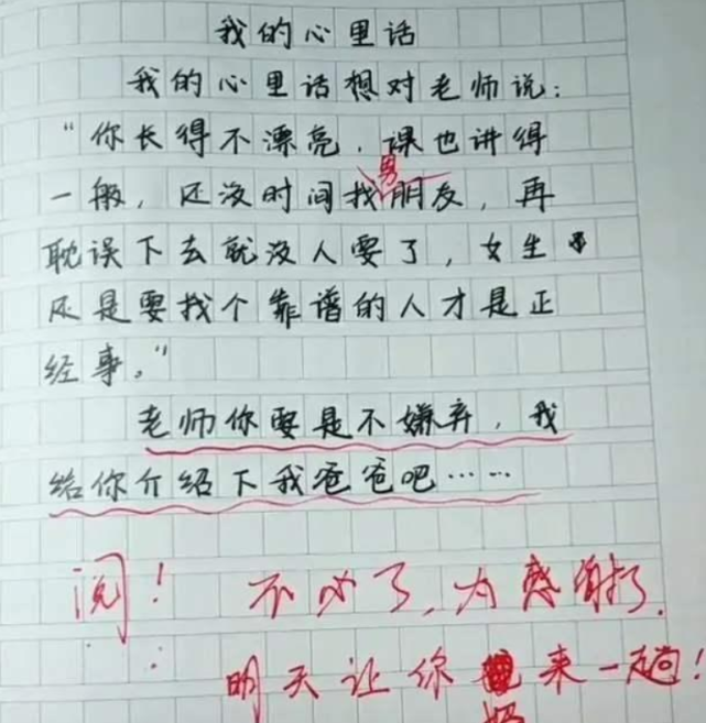 小学生作文朕的后宫走红构思叫人惊艳小心老师动你储位