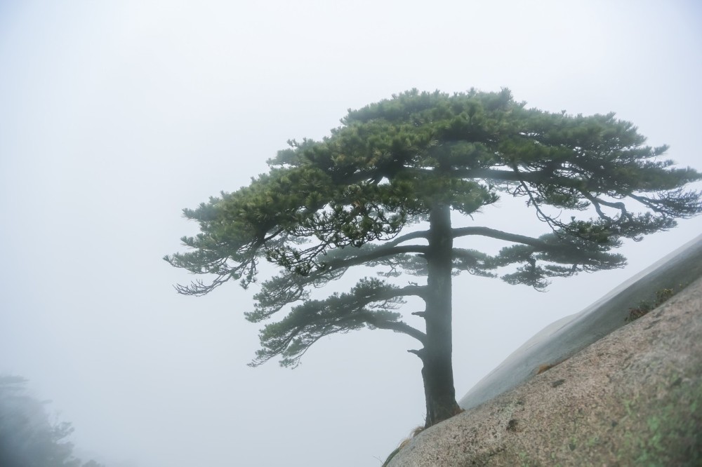 安徽一座景色绝美的山峰,拥有云海奇松壮景,不是黄山而是天柱山