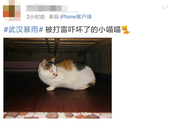 睡梦中被雷声惊醒这样的天气还要持续多久如何防范答案来了