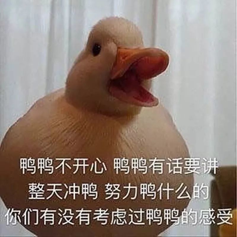 要加油鸭!可爱的鸭鸭表情包