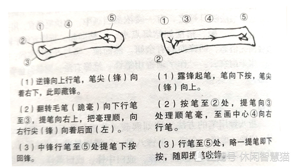 书法学习之笔锋之八锋