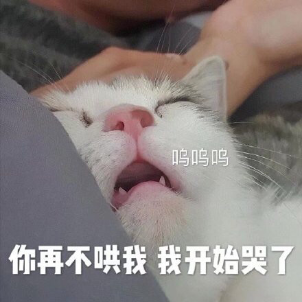 可爱的猫猫表情包:有一说一,确实馋了