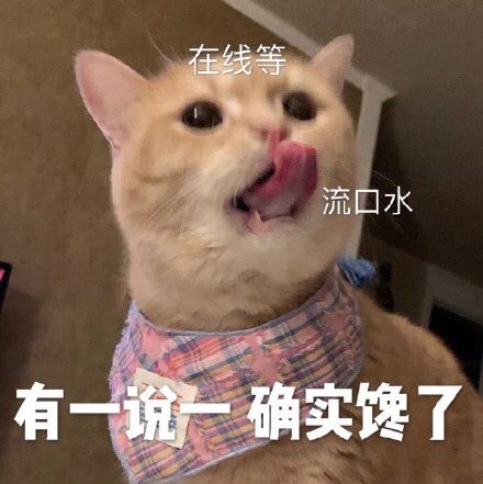 可爱的猫猫表情包有一说一确实馋了