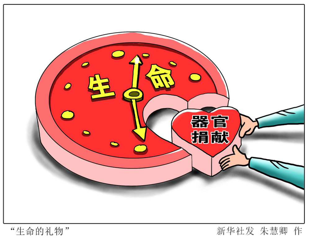 活动在南京市遗体器官捐献者纪念林举行.