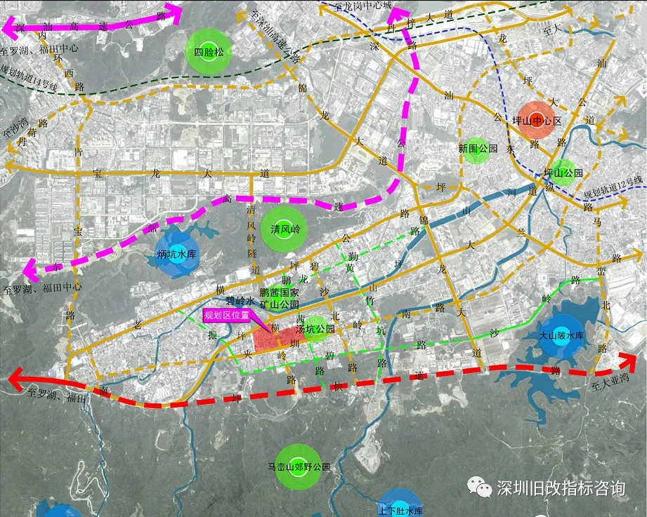 坪山区碧岭街道汤坑片区旧改