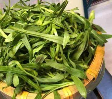 保定|春萌芽 野菜发 是时候咬一口"春天"了