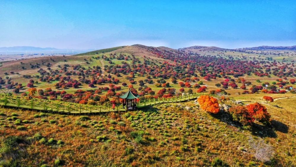 多姿多彩的五角枫生态旅游景区 赛马之乡 建在翰嘎利湖北岸的科右中旗