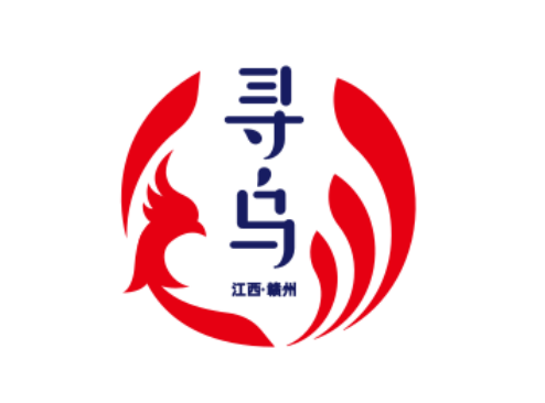 05方案五:设计灵感:把寻乌调查抽象成一本书,寻乌的文字字体和书结合