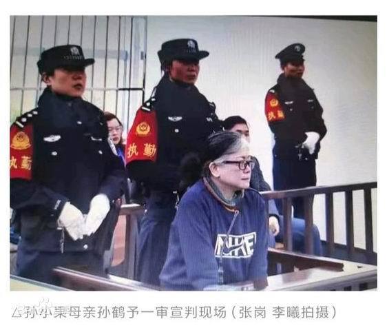 孙小果到底犯了什么罪?