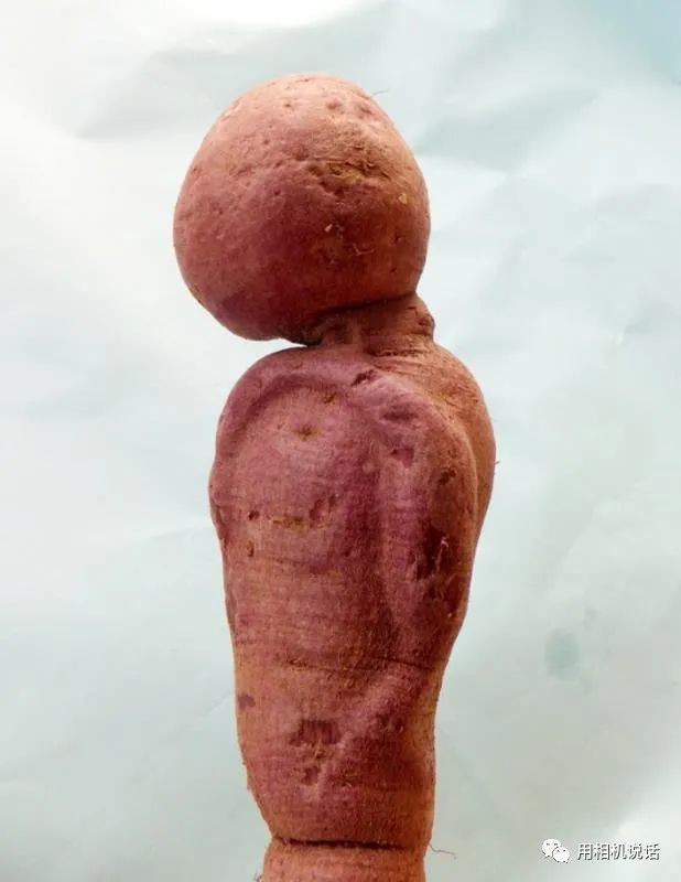 别笑盐山县西璋璧蜜薯基地有趣的红薯创意造型