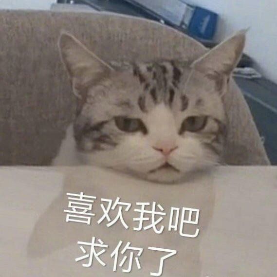 【表情包】喜欢我吧求求你了