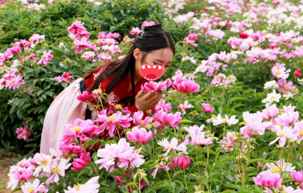 岳阳县首个千亩花海网红公园开园了!4月29日起盛花迎客!