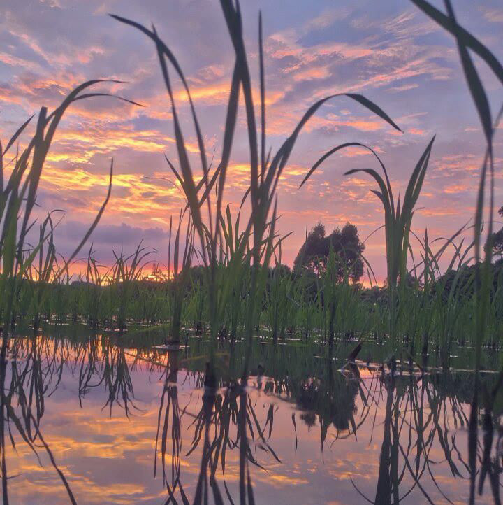 ins夕阳背景图爱在黄昏日落时