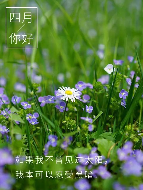 四月早安心语 四月你好!