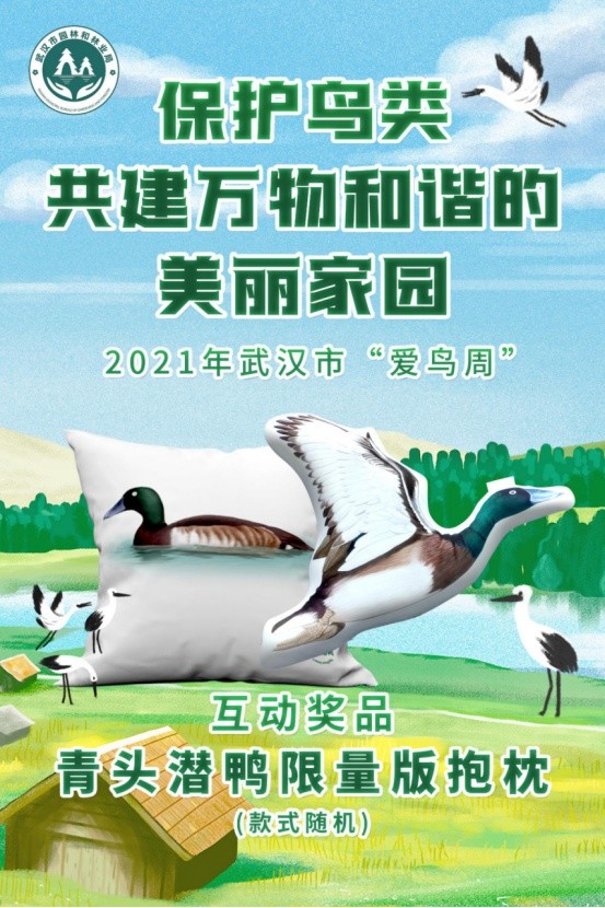 今年,武汉正在创建国际湿地城市,