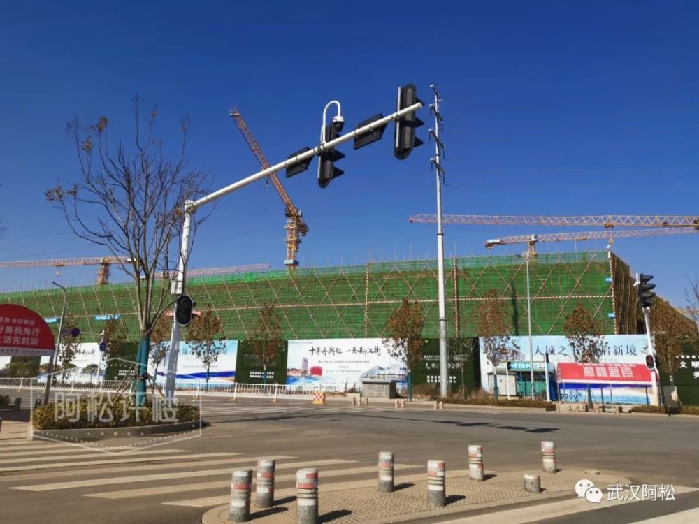 武汉市新洲区2020年GDP_新洲有多美,只有去过的人才知道