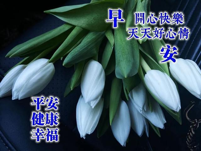 阳春三月早上好朋友圈很火早安祝福图片带字带