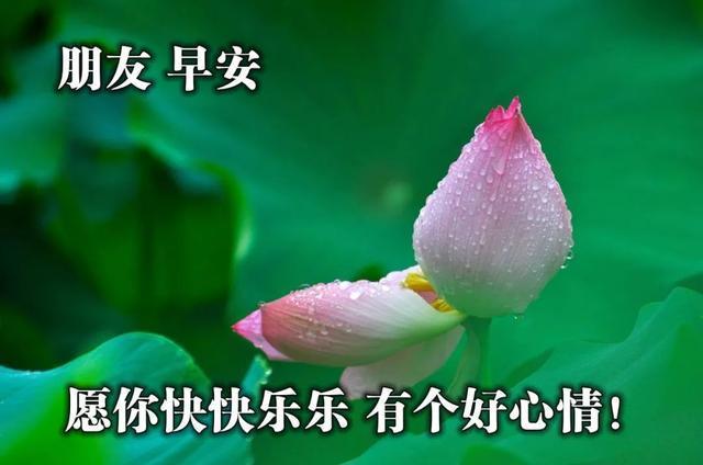 阳春三月早上好朋友圈很火早安祝福图片带字带