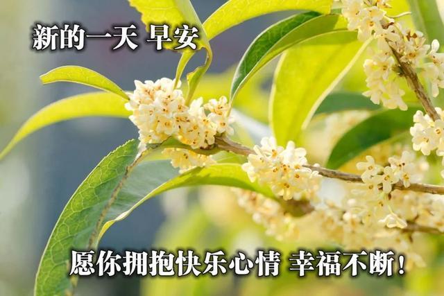 阳春三月早上好朋友圈很火早安祝福图片带字带