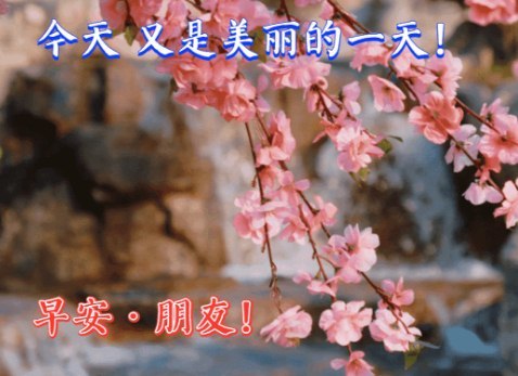 2021精美早安心语祝福图片集锦送给最爱的人
