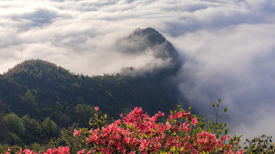 春到大别山 绿水绕青山