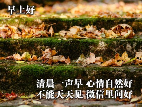 早安2021入冬最新图片,2021漂亮初冬早安图片 早安图片2021新图片冬天最新版