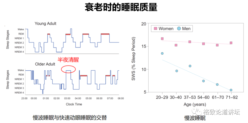 早鸟和夜猫子的睡眠生物钟可能是遗传导致的