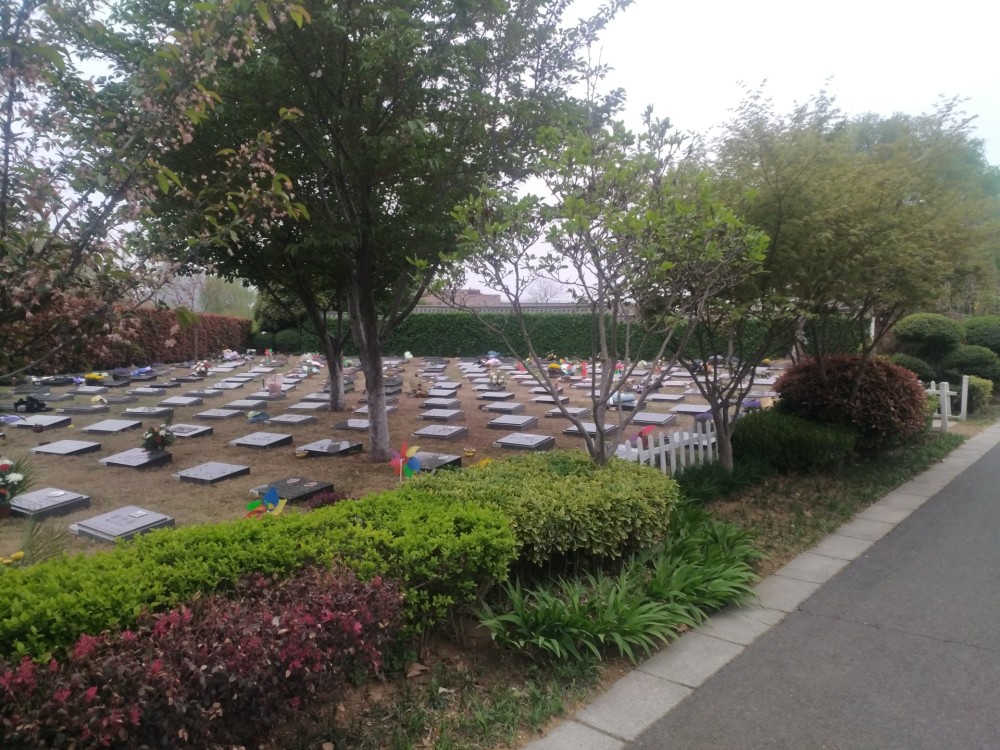 清明节前探访郑州墓园:19万的墓地有绿化,过道,占地4平方米左右