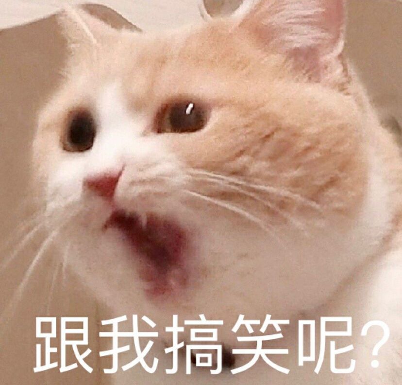 【愚人节文案】当然要配可可爱爱猫咪表情包啦