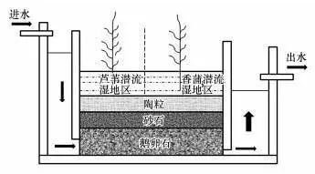 人工湿地在农村污水处理中的应用