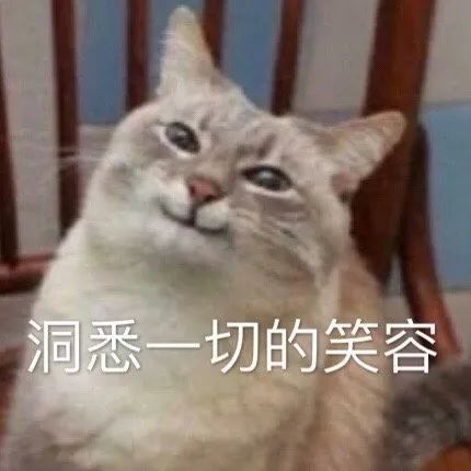 表情包:你这个让我无语的男人