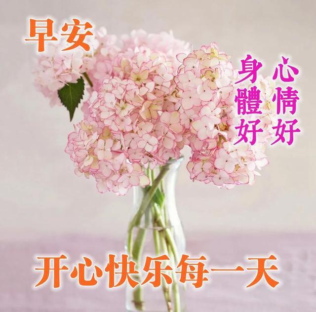 阳光暖心愉快的早安心语图片很实用