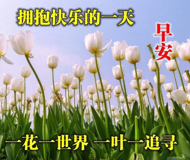 星期五拿去发朋友圈的唯美早安祝福美图最新版