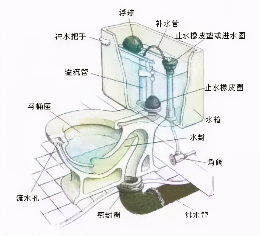 普通虹吸式然后虹吸式又有几个种类的细分:虹吸式马桶排水管道有一个"