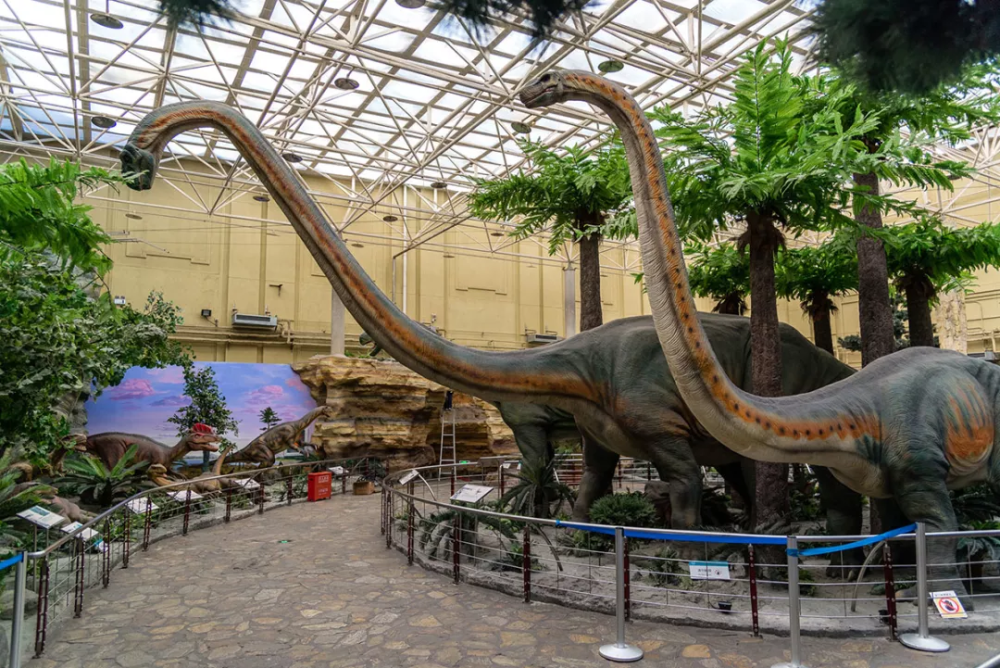 北京自然博物馆:在恐龙公园守护孩子想象力