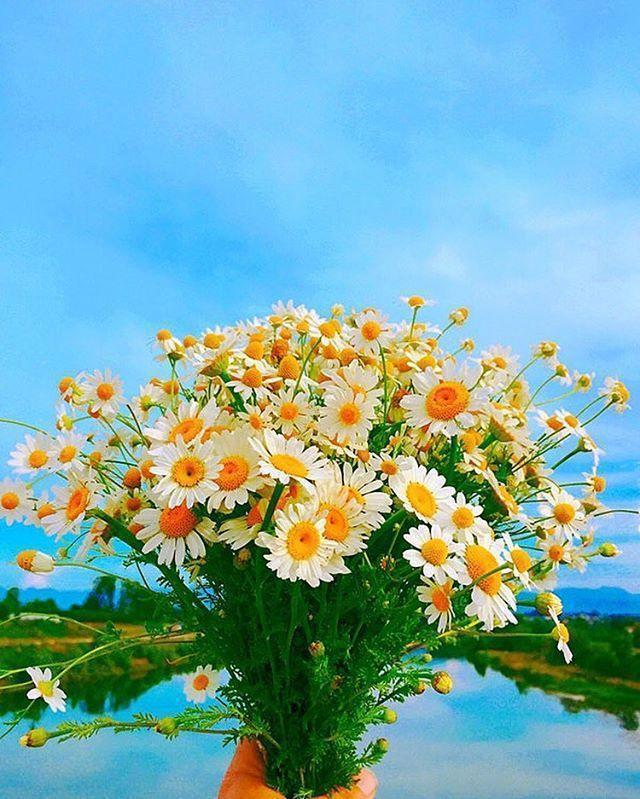 什么心致什么成语_观致汽车属于什么品牌(3)