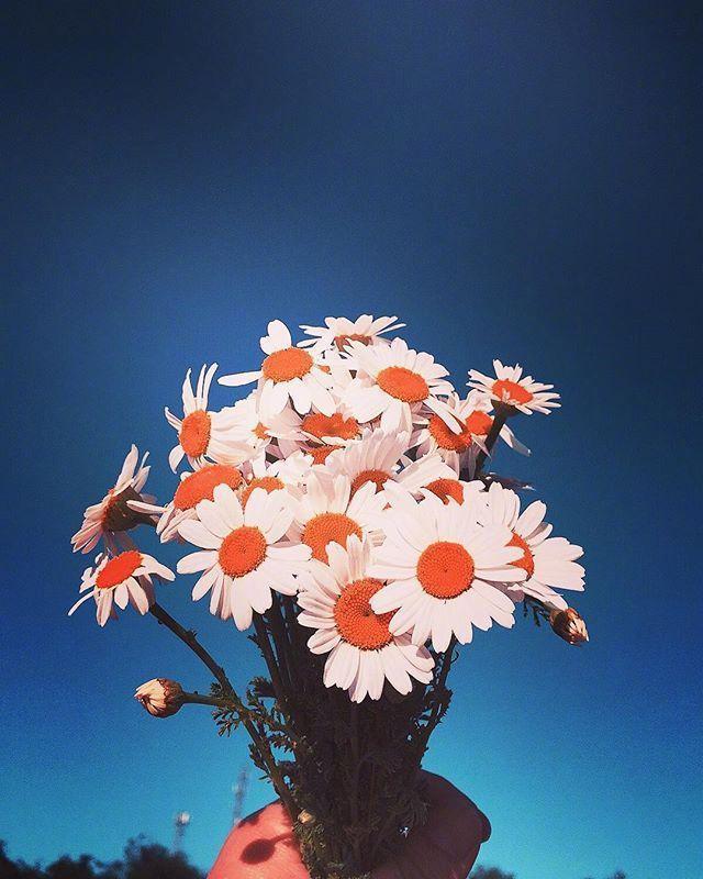 什么心致什么成语_观致汽车属于什么品牌(3)