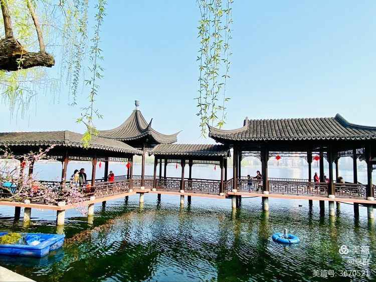 "春到莫愁赏海棠",三月相约南京莫愁湖公园,欣赏春天的景致