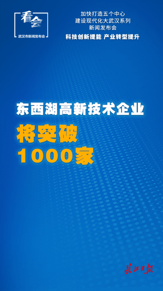 武汉经济2025年总量_武汉2025年地铁规划图(2)