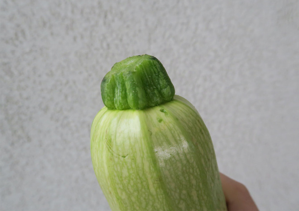 挑选蔬菜贴士|爽脆多汁翠玉瓜4大特点,翠玉瓜有苦味食不食得?