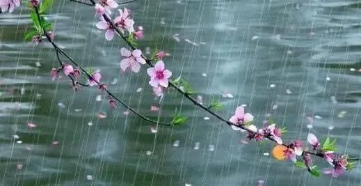 春雨贵如油?还有这些诗词让您逼格满满!