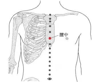 注:位于胸部,横平第1肋间隙,锁骨下窝外侧,前正中线旁开6寸. 调摄