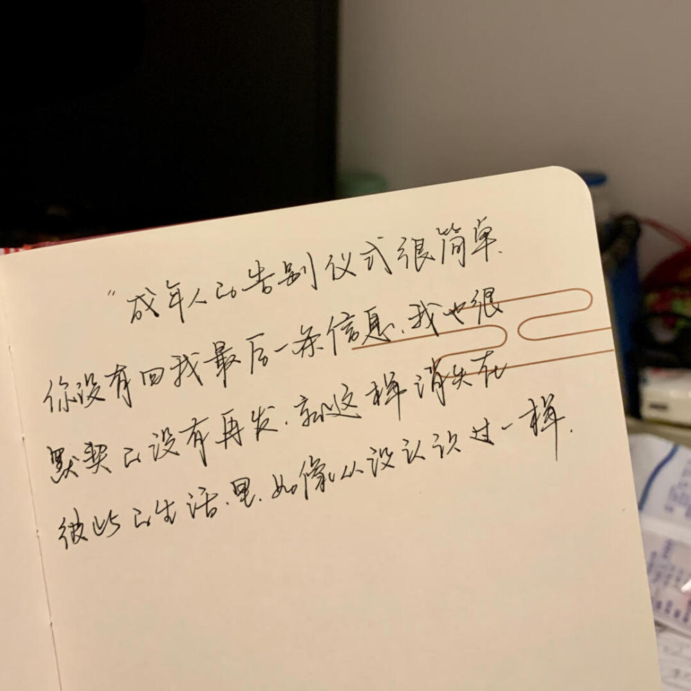 "乍见惊艳的小说文案"