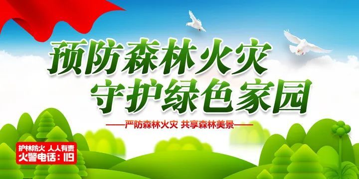 倡议防范森林火灾共建生态家园致全县学生及家长的一封信淳化教育